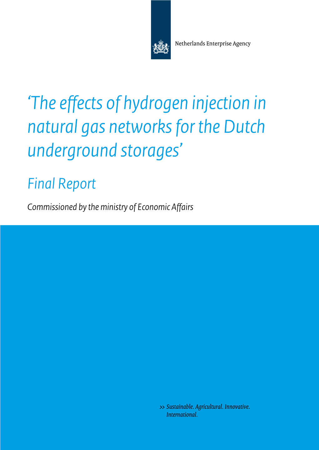 'The Effects of Hydrogen Injection in Natural Gas Networks for the Dutch