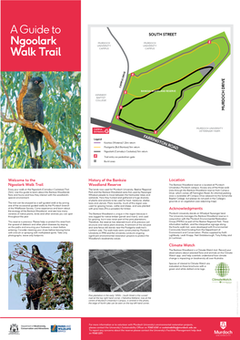 A Guide to Ngoolark Walk Trail