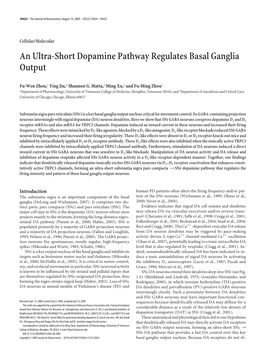 An Ultra-Short Dopamine Pathway Regulates Basal Ganglia Output