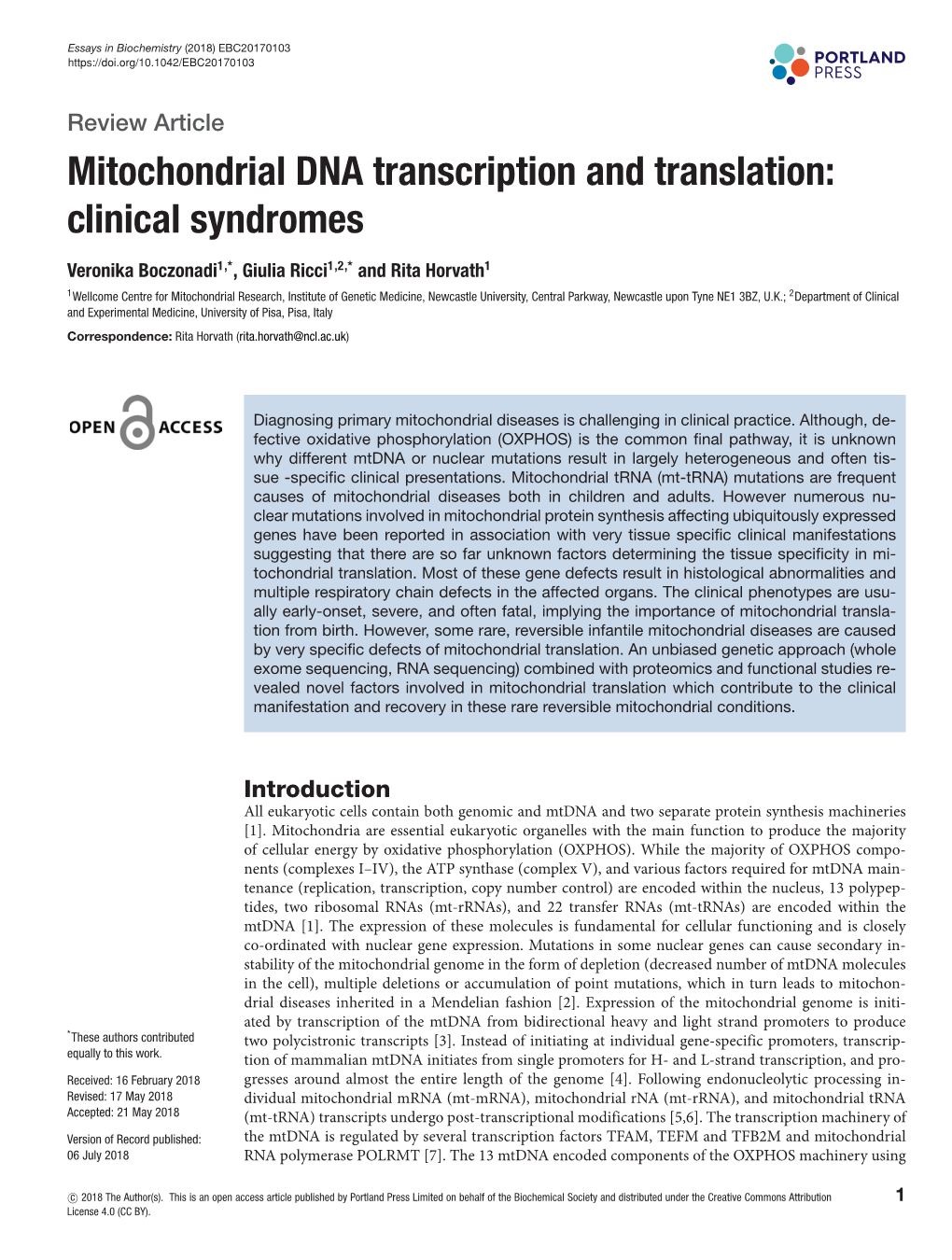 Mitochondrial DNA Transcription and Translation: Clinical Syndromes