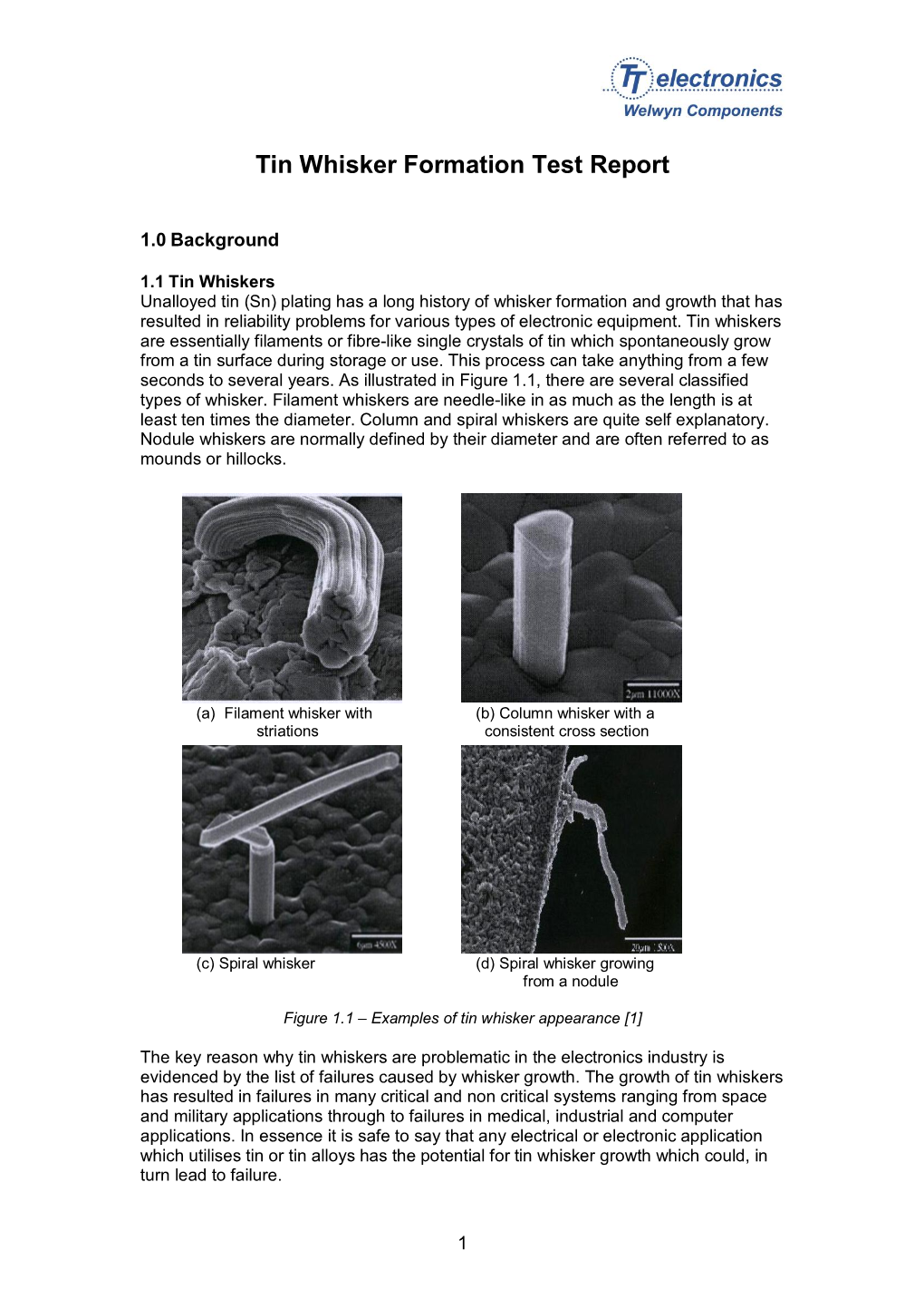 Tin Whisker Formation Test Report