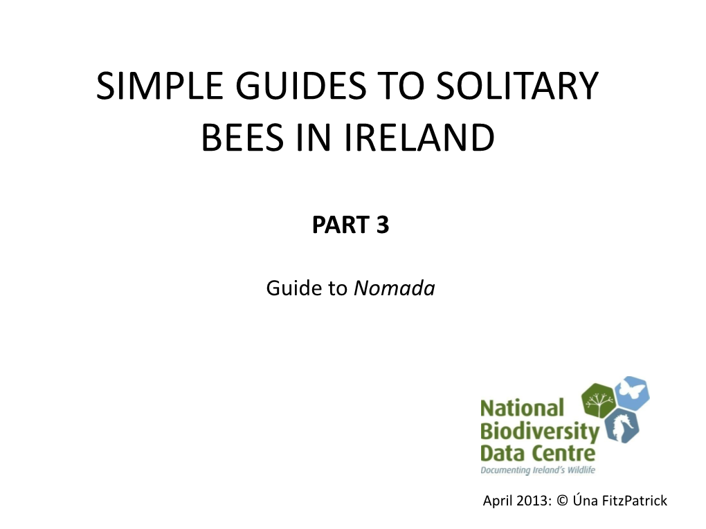 Simple Guides to Solitary Bees in Ireland