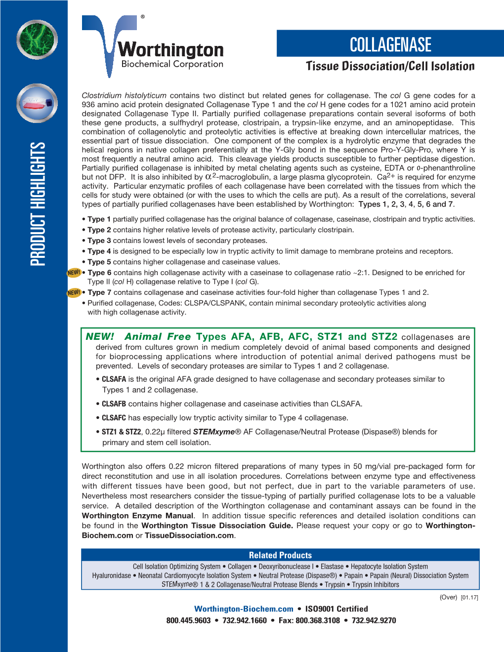 Product Highlights Collagenase