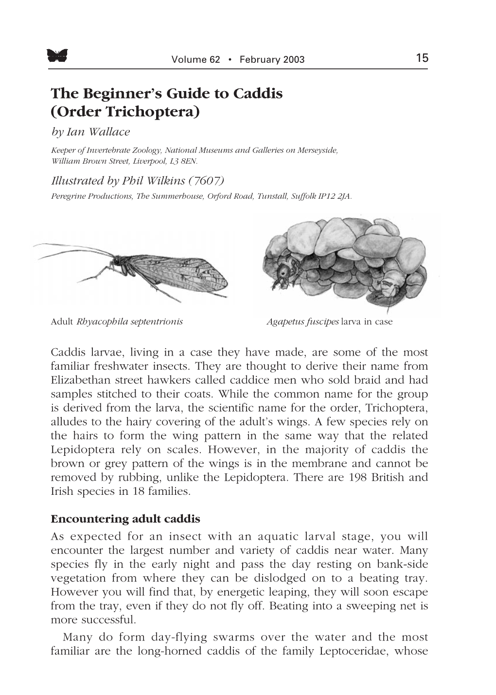 The Beginner's Guide to Caddis (Order Trichoptera)