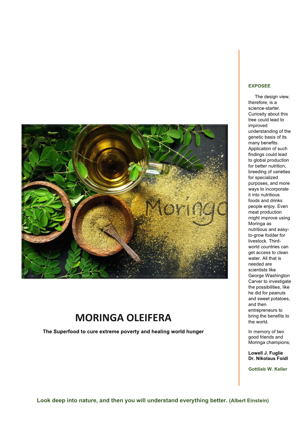 MORINGA OLEIFERA the World