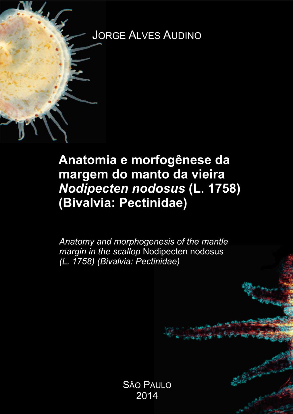 Anatomia E Morfogênese Da Margem Do Manto Da Vieira Nodipecten Nodosus (L. 1758) (Bivalvia: Pectinidae)