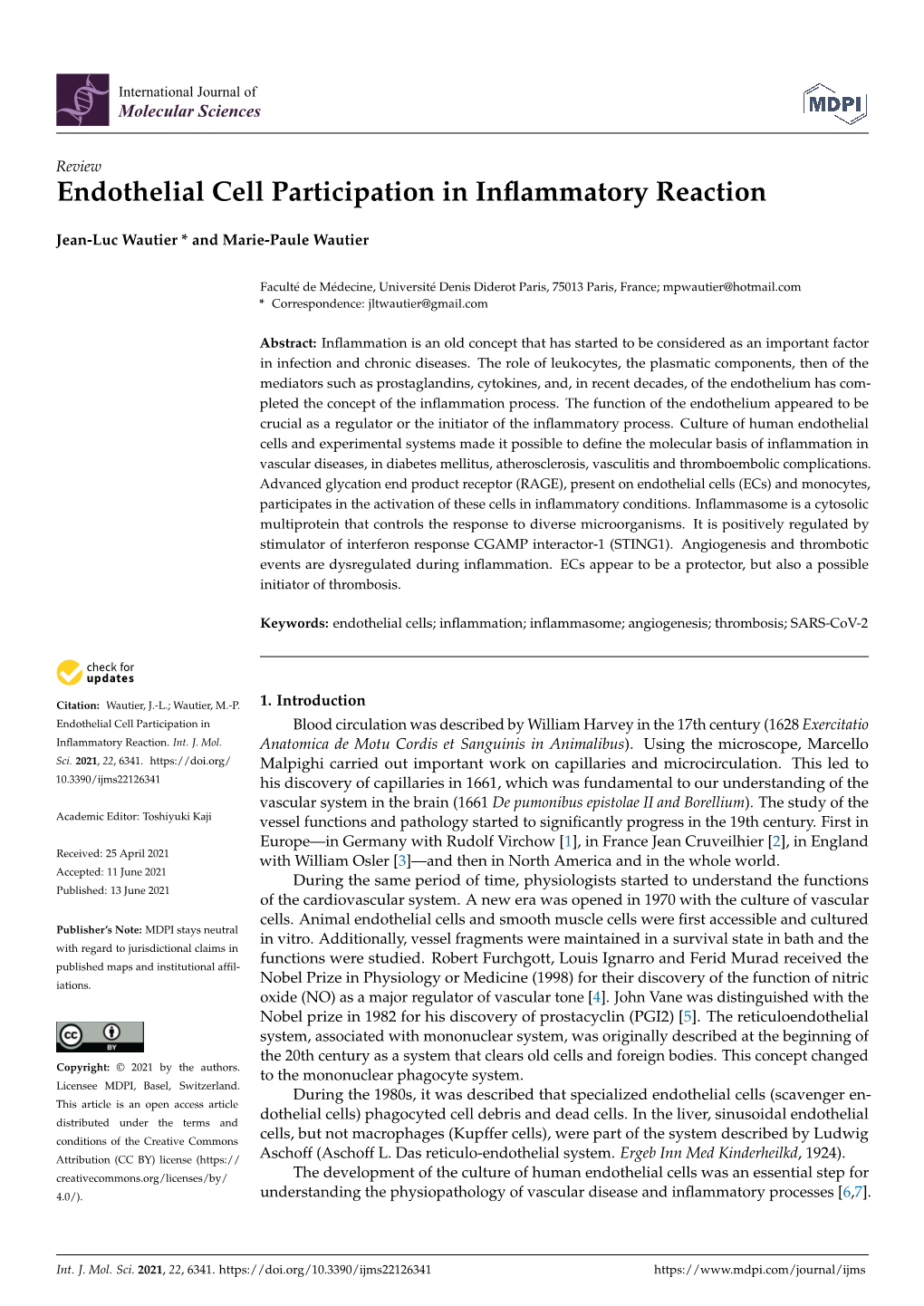 Endothelial Cell Participation in Inflammatory Reaction