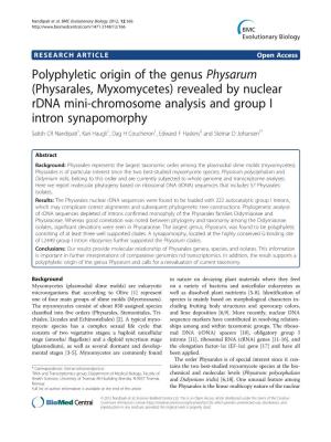 Polyphyletic Origin of the Genus Physarum (Physarales