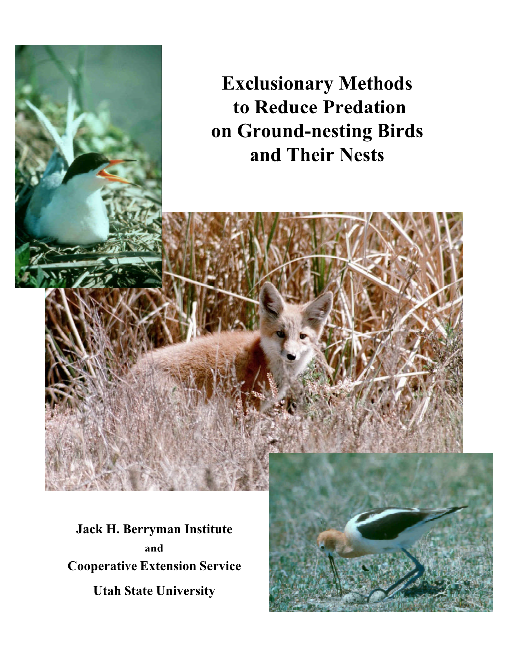 Exclusionary Methods to Reduce Predation on Ground Nesting Birds