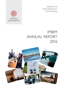 Imbim Annual Report 2016