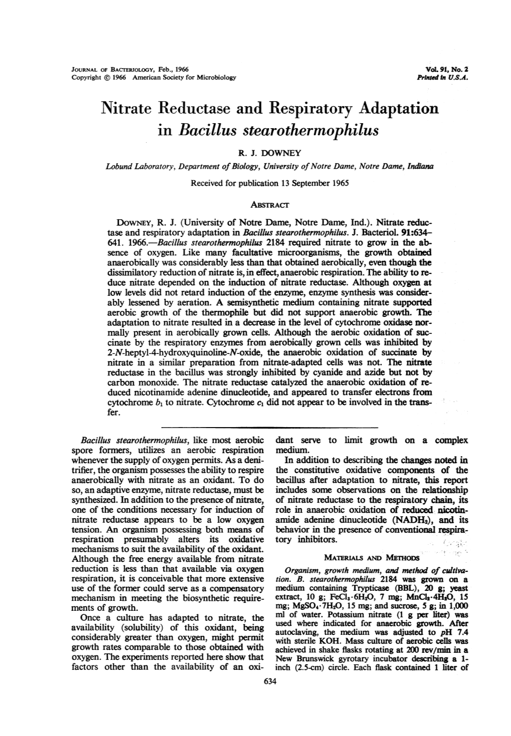Nitrate Reductase and Respiratory Adaptation in Bacillus Stearothermophilus R