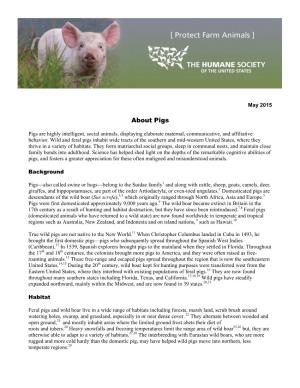 About Pigs [PDF]