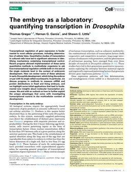 The Embryo As a Laboratory: Quantifying Transcription in Drosophila