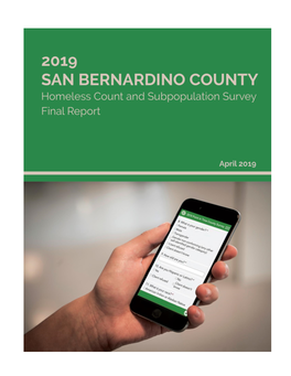 Homeless Count and Subpopulation Survey 2019