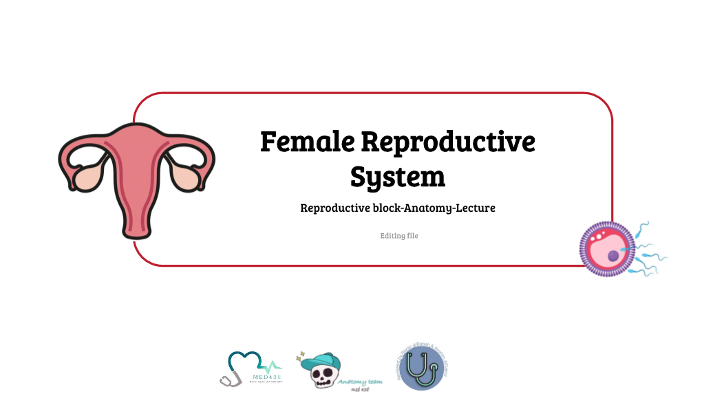 Female Reproductive System Reproductive Block-Anatomy-Lecture