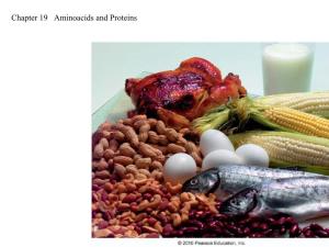 Chapter 19 Aminoacids and Proteins