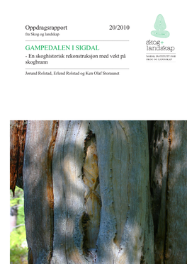 GAMPEDALEN I SIGDAL - En Skoghistorisk Rekonstruksjon Med Vekt På Skogbrann ------Jørund Rolstad, Erlend Rolstad Og Ken Olaf Storaunet