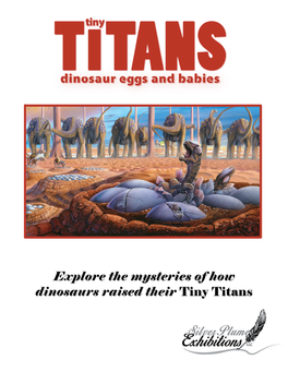 The Tiny Titans Exhibition 1.6 MB