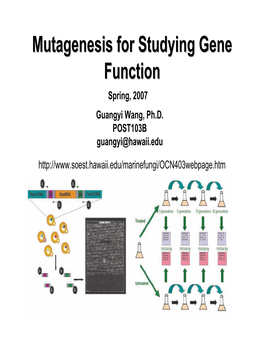 Mutagenesis for Studying Gene Function
