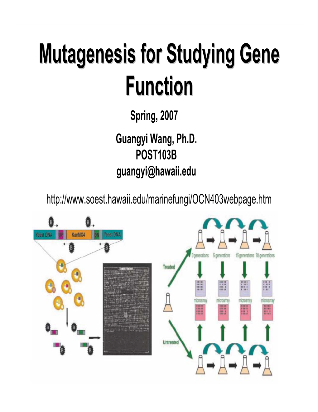 Mutagenesis for Studying Gene Function