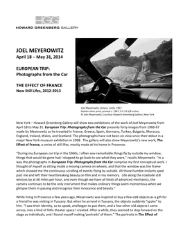 JOEL MEYEROWITZ April 18 – May 31, 2014