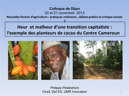 Typologie Des Planteurs Talba Nanga Eboko (À Dire D’Experts Et Basée Sur La Surface Possédée En Cacao) Bokito Mbandjok