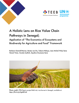 A Holistic Lens on Rice Value Chain Pathways in Senegal; Application of “The Economics of Ecosystems And