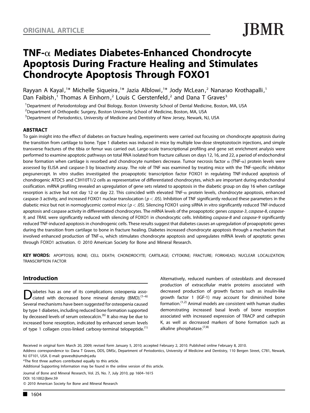 TNF-A Mediates Diabetes-Enhanced Chondrocyte Apoptosis During Fracture Healing and Stimulates Chondrocyte Apoptosis Through FOXO1