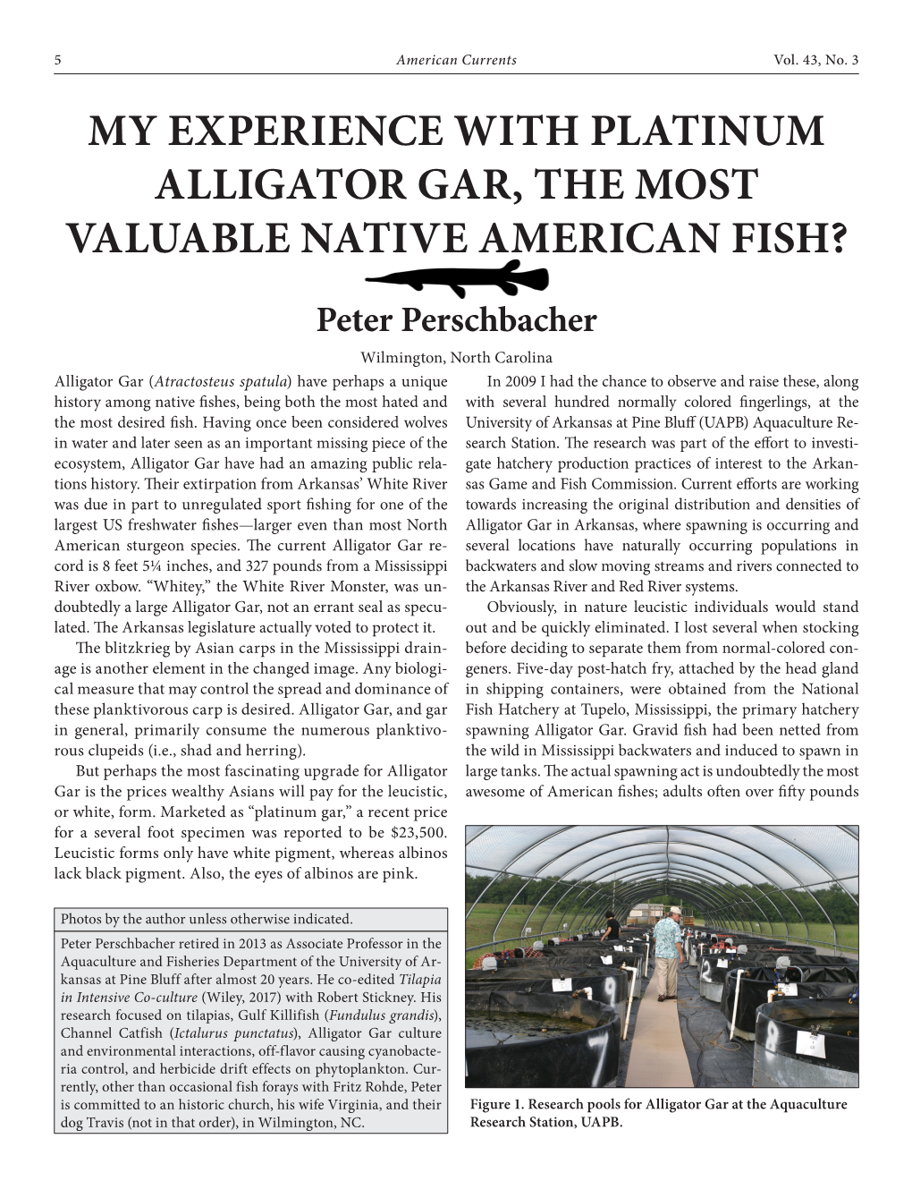 My Experience with Platinum Alligator Gar, the Most Valuable Native American Fish? Peter Perschbacher