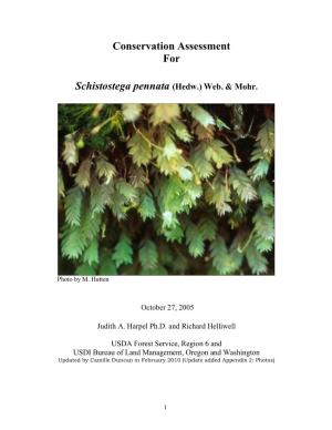 Conservation Assessment for Schistostega Pennata (Hedw.) Web. & Mohr