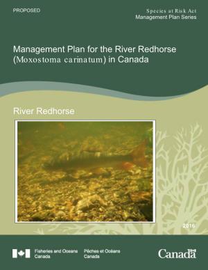 Management Plan for the River Redhorse (Moxostoma Carinatum) in Canada