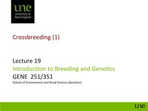 Crossbreeding (1) Lecture 19 Introduction to Breeding And