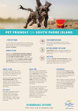 Pet Friendly South Padre Island