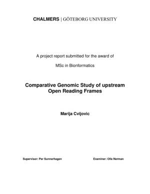 Comparative Genomic Study of Upstream Open Reading Frames