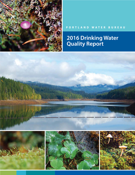 2016 Drinking Water Quality Report