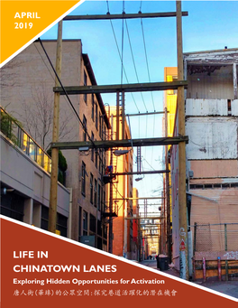 Life in Chinatown Lanes Final Report