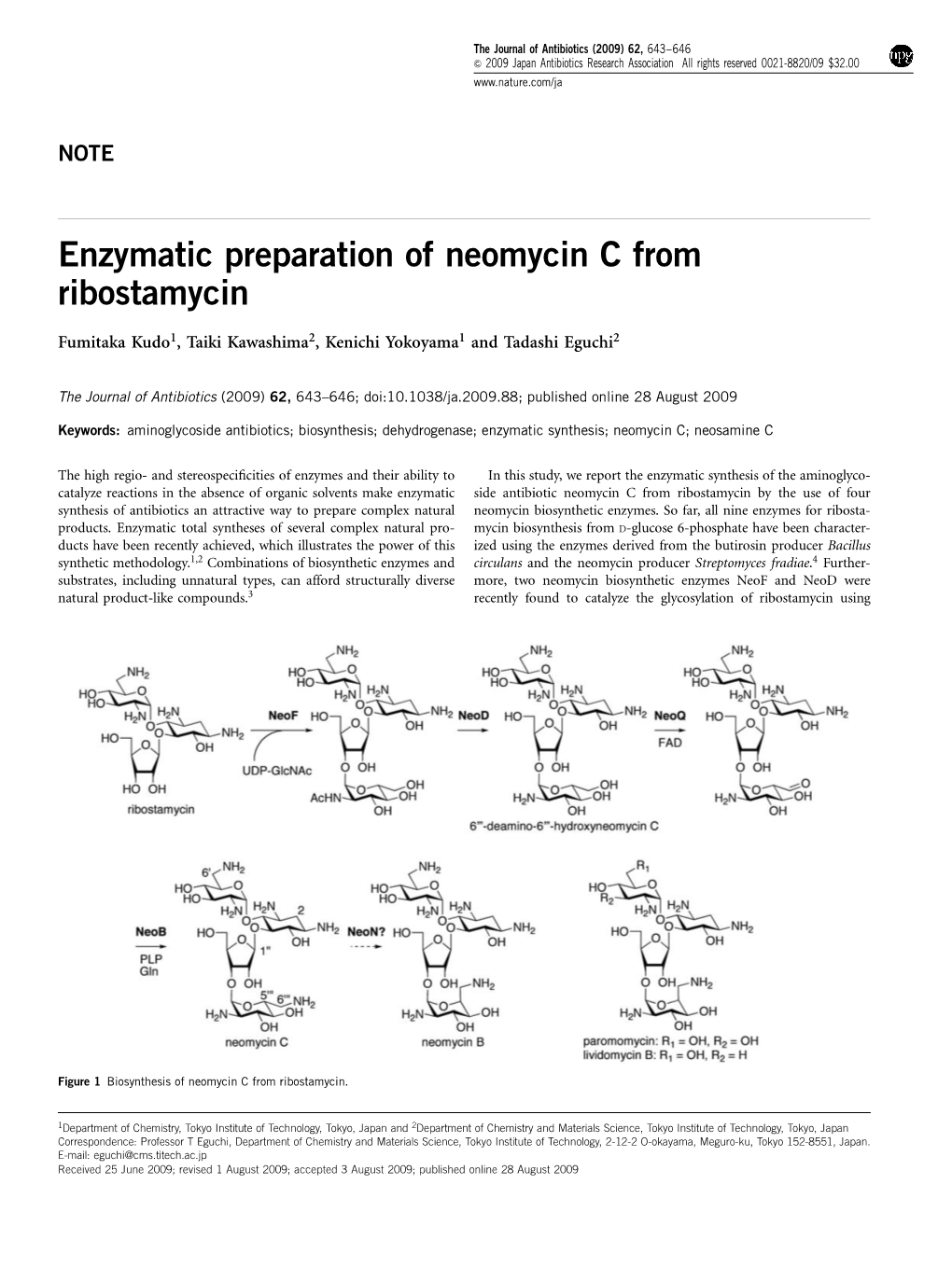 Enzymatic Preparation of Neomycin C from Ribostamycin