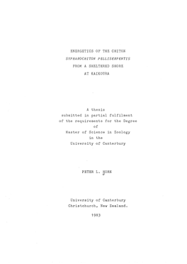 Energetics of the Chiton Sypharochiton Pelliserpentis from a Sheltered Shore at Kaikoura