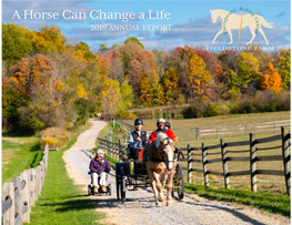 2019 ANNUAL REPORT Horses Change Us