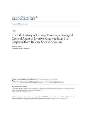 The Life History of Larinus Minutus, a Biological Control Agent of Invasive Knapweeds, and Its Dispersal from Release Sites in Arkansas Adam M