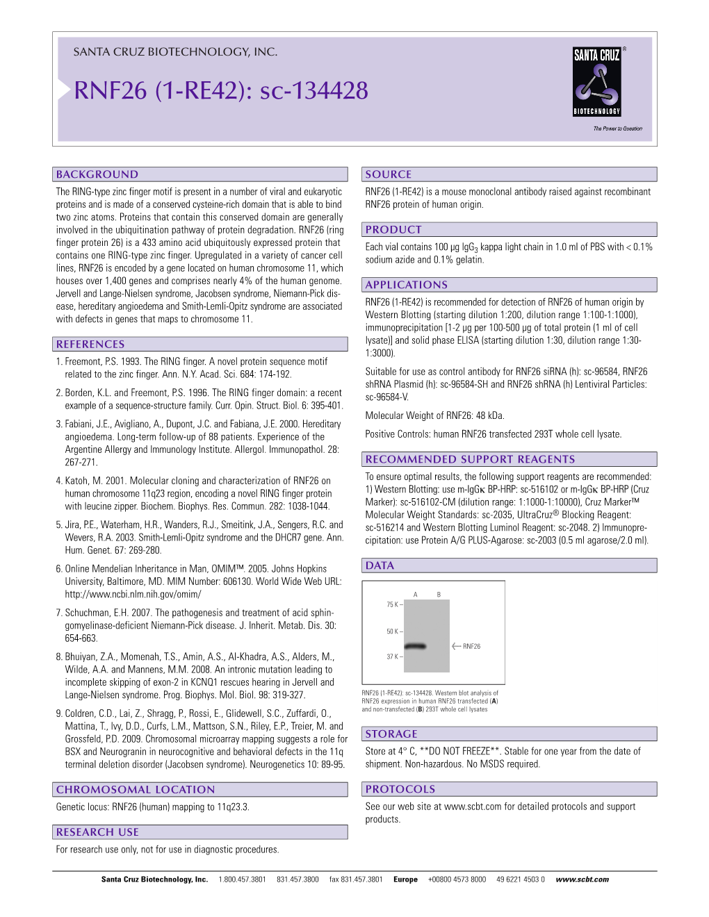 Datasheet Blank Template