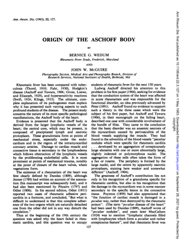 Origin of the Aschoff Body