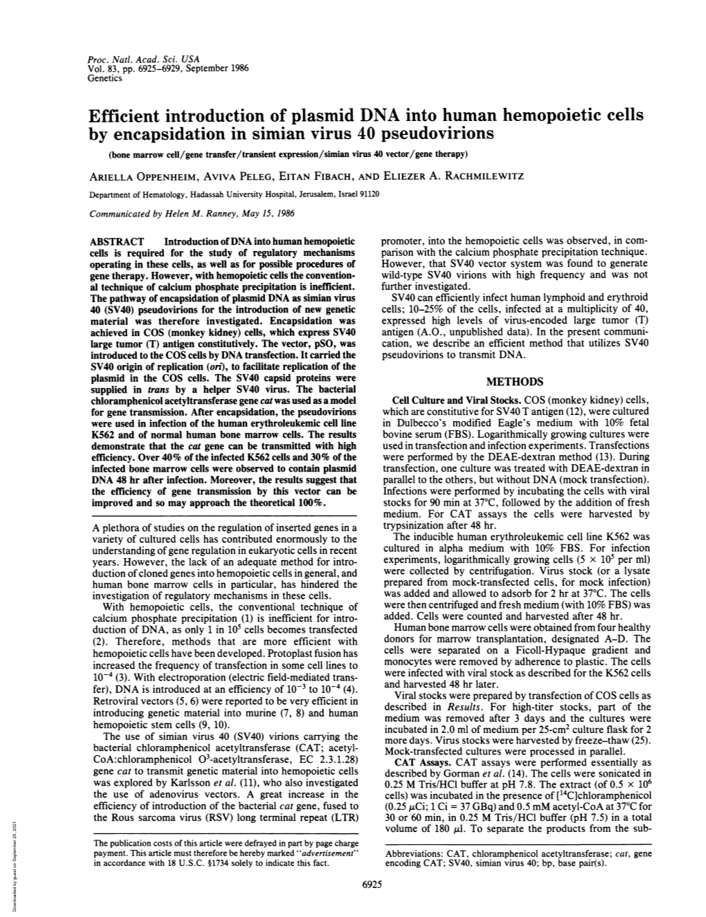 Efficient Introduction of Plasmid DNA Into Human Hemopoietic Cells by Encapsidation in Simian Virus 40 Pseudovirions