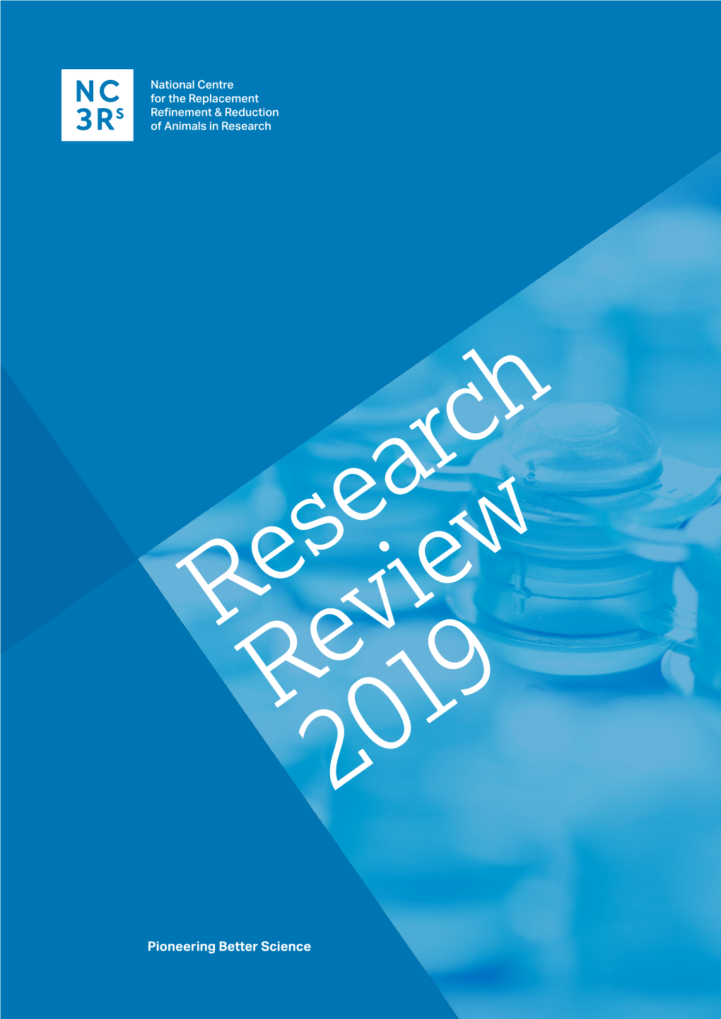 Research Review 2019