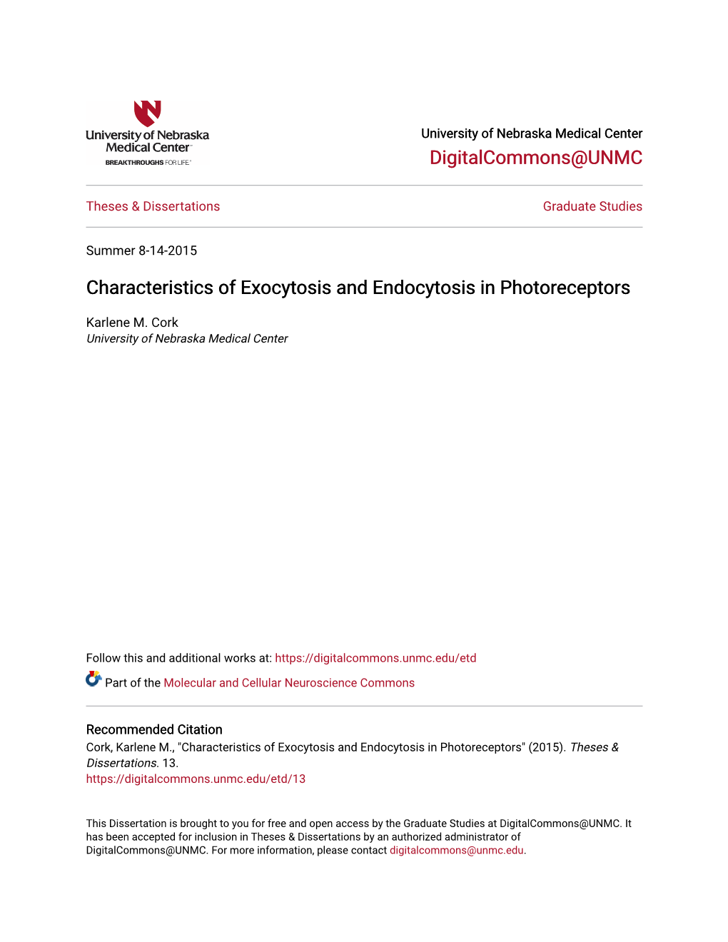 Characteristics of Exocytosis and Endocytosis in Photoreceptors