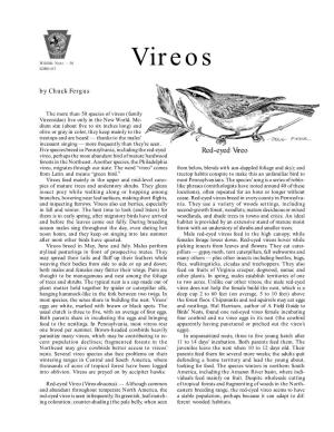 Vireos by Chuck Fergus