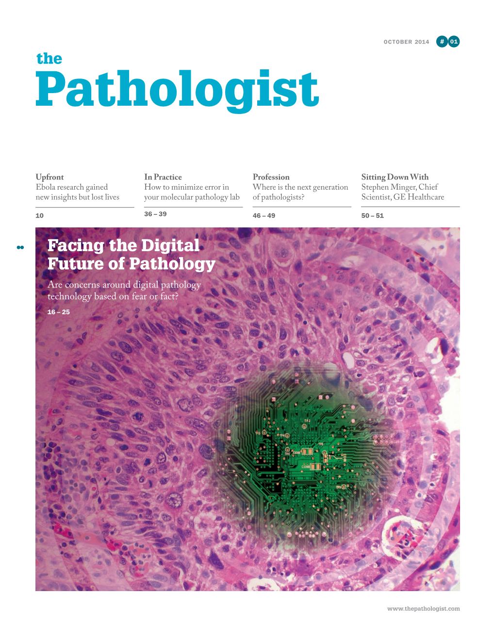 Facing the Digital Future of Pathology