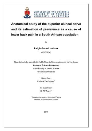 Anatomical Study of the Superior Cluneal Nerve and Its Estimation of Prevalence As a Cause of Lower Back Pain in a South African Population