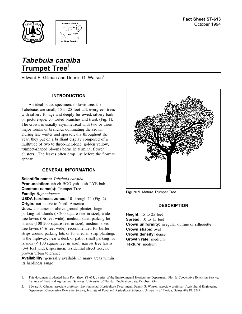 Tabebuia Caraiba Trumpet Tree1 Edward F