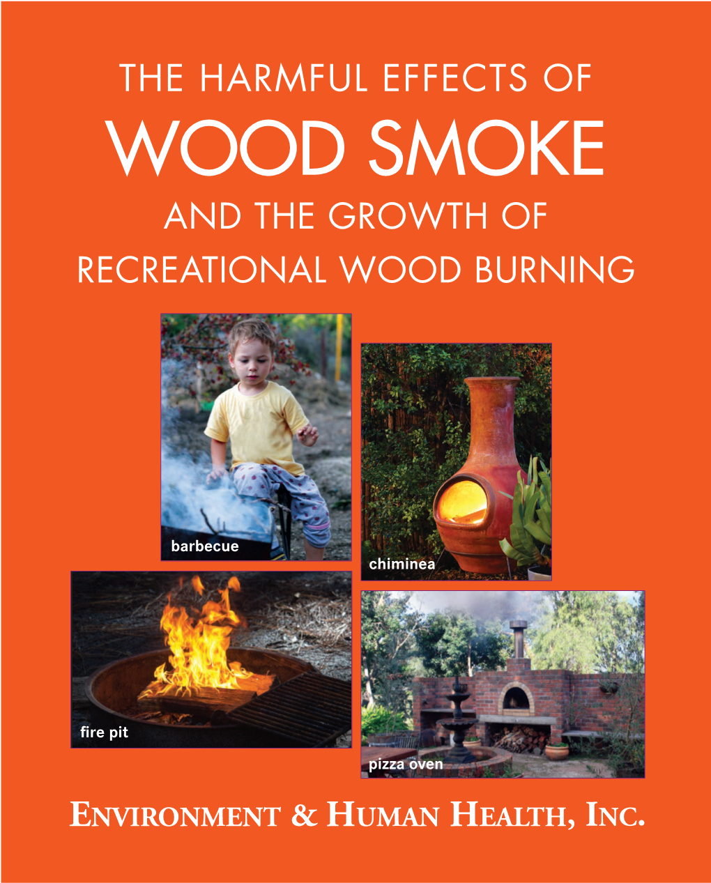Wood Smoke and the Growth of Recreational Wood Burning
